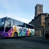 Man Lion's Coach