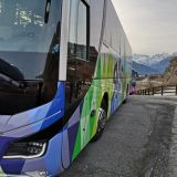 Man Lion's Coach