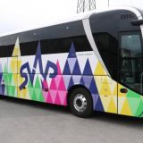 Man lion's Coach 1
