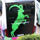 Man lion's Coach 3