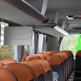 Man lion's Coach 5