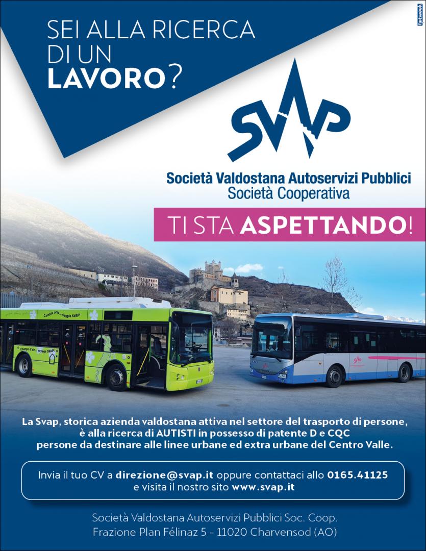 Autista Patente D e CQC